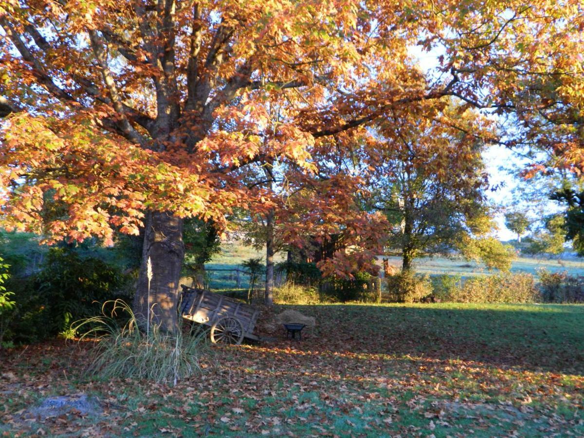 Centre De Bien-Etre Et Ses Chambres D'Hote Villeneuve-de-Rivière Exteriör bild